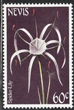 [Flowers, tipas EC]