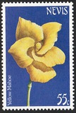 [Flowers, tipas EB]