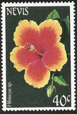 [Flowers, tipas DZ]