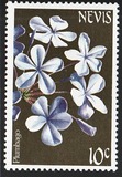 [Flowers, tipas DV]