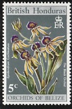 [Orchids of Belize, type DY]