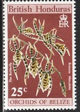 [Orchids of Belize, type EB]