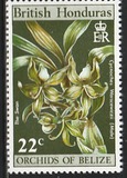 [Orchids of Belize, type EA]
