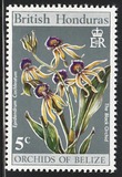 [Orchids of Belize, type DY]