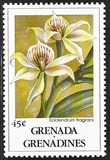 [Orchids, Typ BBX]