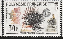 [Fish, 类型 T]