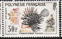 [Fish, 类型 T]