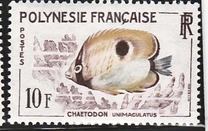 [Fish, 类型 S]