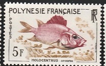 [Fish, 类型 R]
