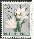 [Indigenous Flora, típus AY]