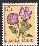 [Indigenous Flora, típus AW]