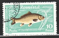 [Fish, タイプ BTP]