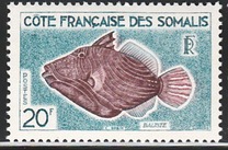 [Fish and Birds, type DC]