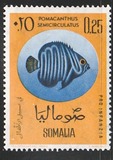 [Child Welfare - Tropical Fish - Inscribed "PRO INFANZIA", tyyppi AJ]