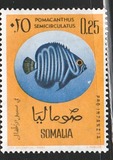 [Child Welfare - Tropical Fish - Inscribed "PRO INFANZIA", tyyppi AJ]