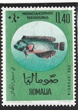 [Child Welfare - Tropical Fish - Inscribed "PRO INFANZIA", tyyppi AK]