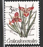 [Flowers, tip CQP]