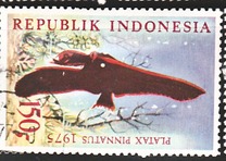 [Fish, type AFH]