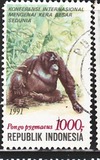 [International Conference on Great Apes of the World - The Orangutan, τύπος BBI]