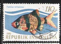 [Tropical Fish, տեսակ AQI]