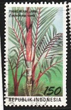 [Flora and Fauna, typ BHZ]