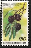 [Flora and Fauna, typ BIH]