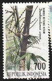 [The 4th International Bamboo Congress, Ubud, Bali, тып BHI]