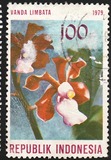 [Orchids, тип AIY]