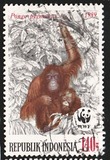 [Endangered Animals - The Orangutan, typ AXD]