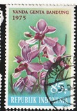 [Tourism - Indonesian Orchids, type AES]