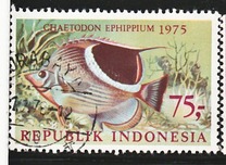 [Fish, type AFG]