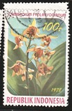 [Orquídeas., tipo AIP]