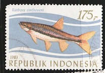 [Tropical Fish, տեսակ AQJ]