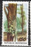 [Flora and Fauna, typ BID]
