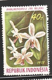 [Orquídeas., tipo AIN]