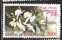 [Flowers, tip BBM]