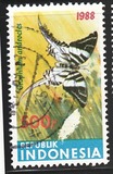 [Butterflies, type AWV]