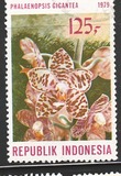 [Orchids, тип AIZ]