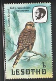 [Birds, tip KW]