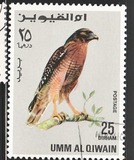 [Birds - Falcons, type HR]