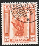 [The 75th Anniversary of U.P.U. - Inscribed "1874 UPU 1949" - Orchids and Cityscapes, type RI]