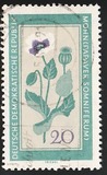[Medicinal Plants, type ON]