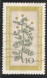 [Medicinal Plants, type OL]