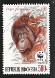 [Endangered Animals - The Orangutan, typ AXE]