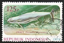 [Wildlife Protection, tip AJT]