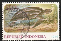 [Wildlife Protection, tip AJU]
