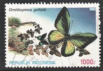 [Opening Ceremony of the Insectarium in Jakarta, Вид BDL]