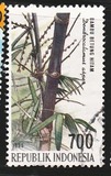 [The 4th International Bamboo Congress, Ubud, Bali, тып BHI]