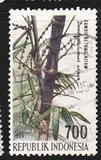 [The 4th International Bamboo Congress, Ubud, Bali, тып BHI]