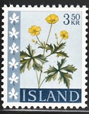 [Flowers, Tipi FH]